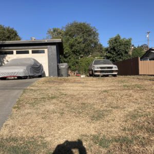 Fences before